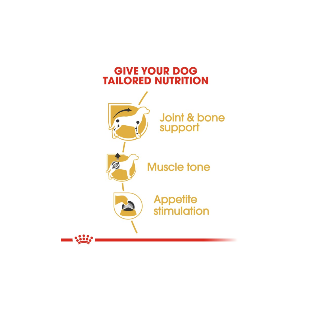Royal Canin Breed Health Nutrition Dachshund Adult (WET FOOD)