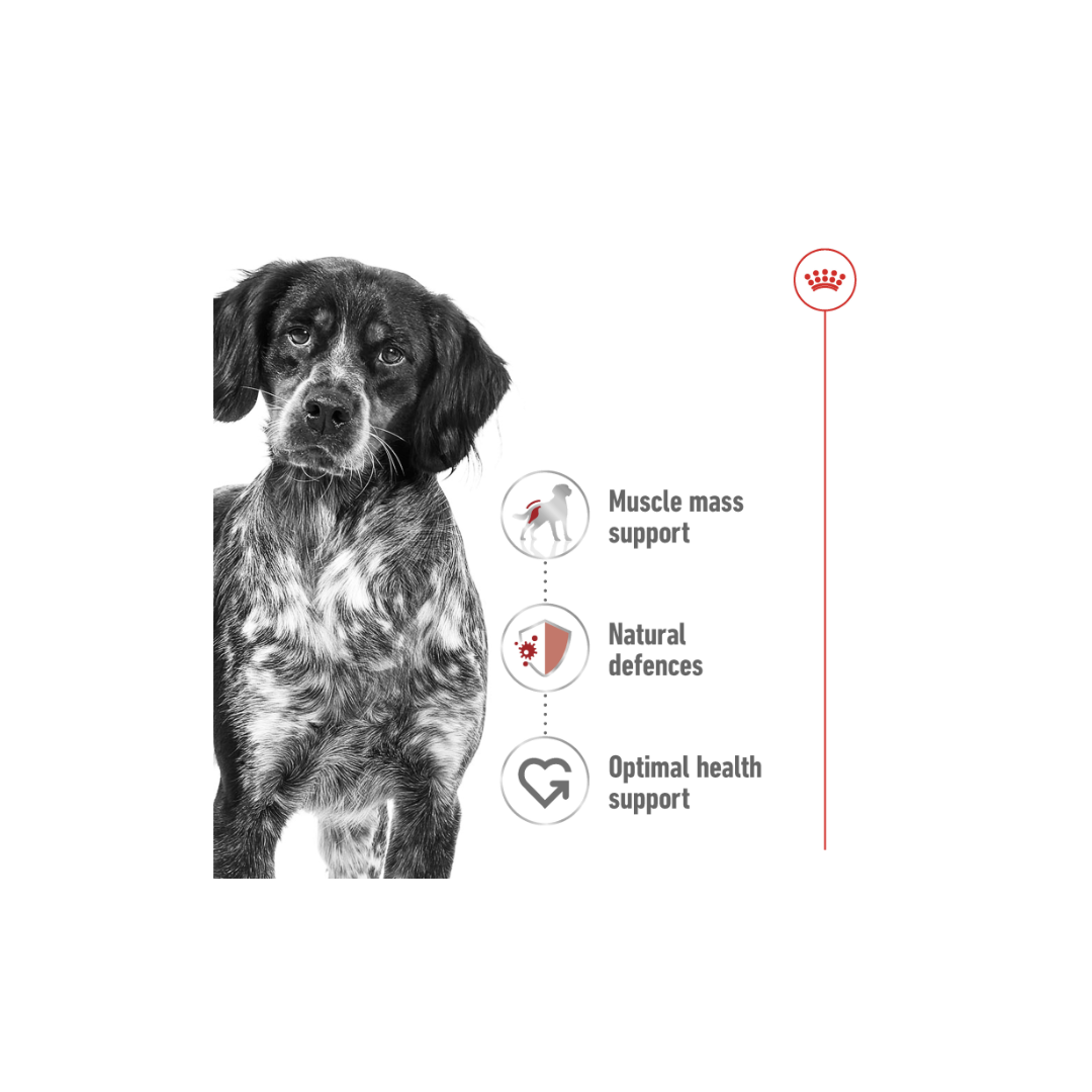Royal Canin Health Nutrition Medium Adult (WET FOOD)