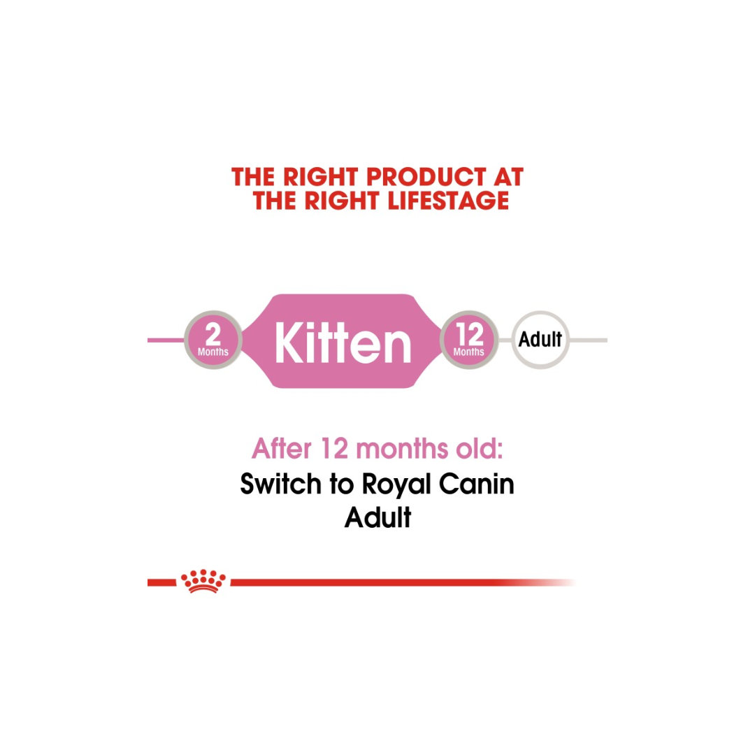 Royal Canin Feline Health Nutrition Kitten Jelly (WET FOOD )