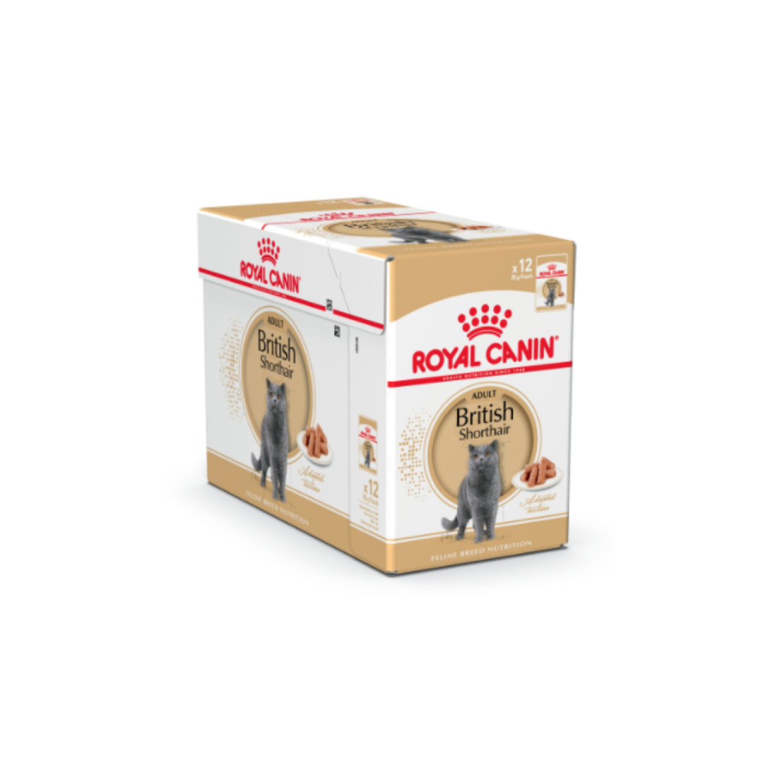 Royal Canin Feline Breed Nutrition British Shorthair (WET FOOD)