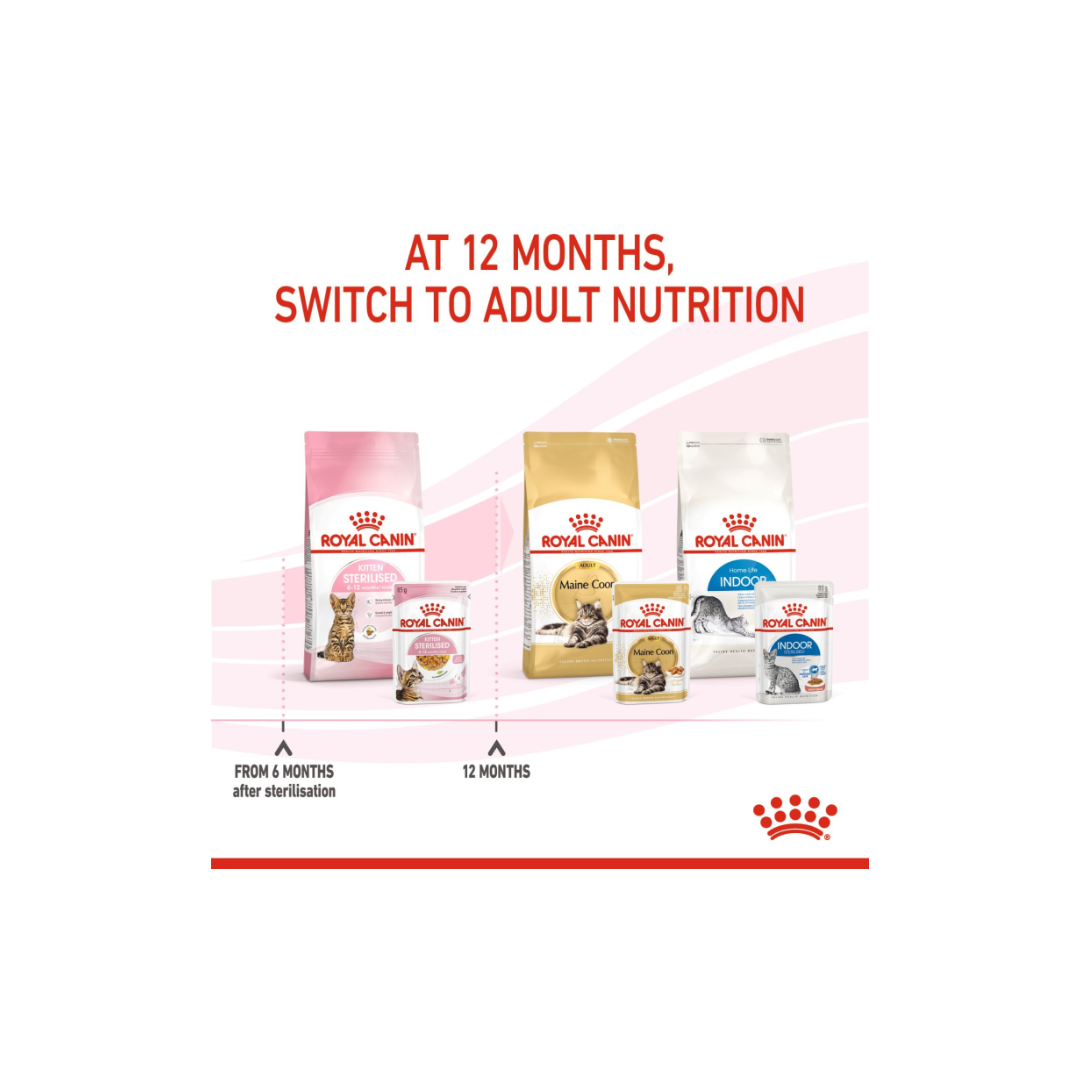 Royal Canin Feline Health Nutrition Kitten Sterilised Jelly (WET FOOD)