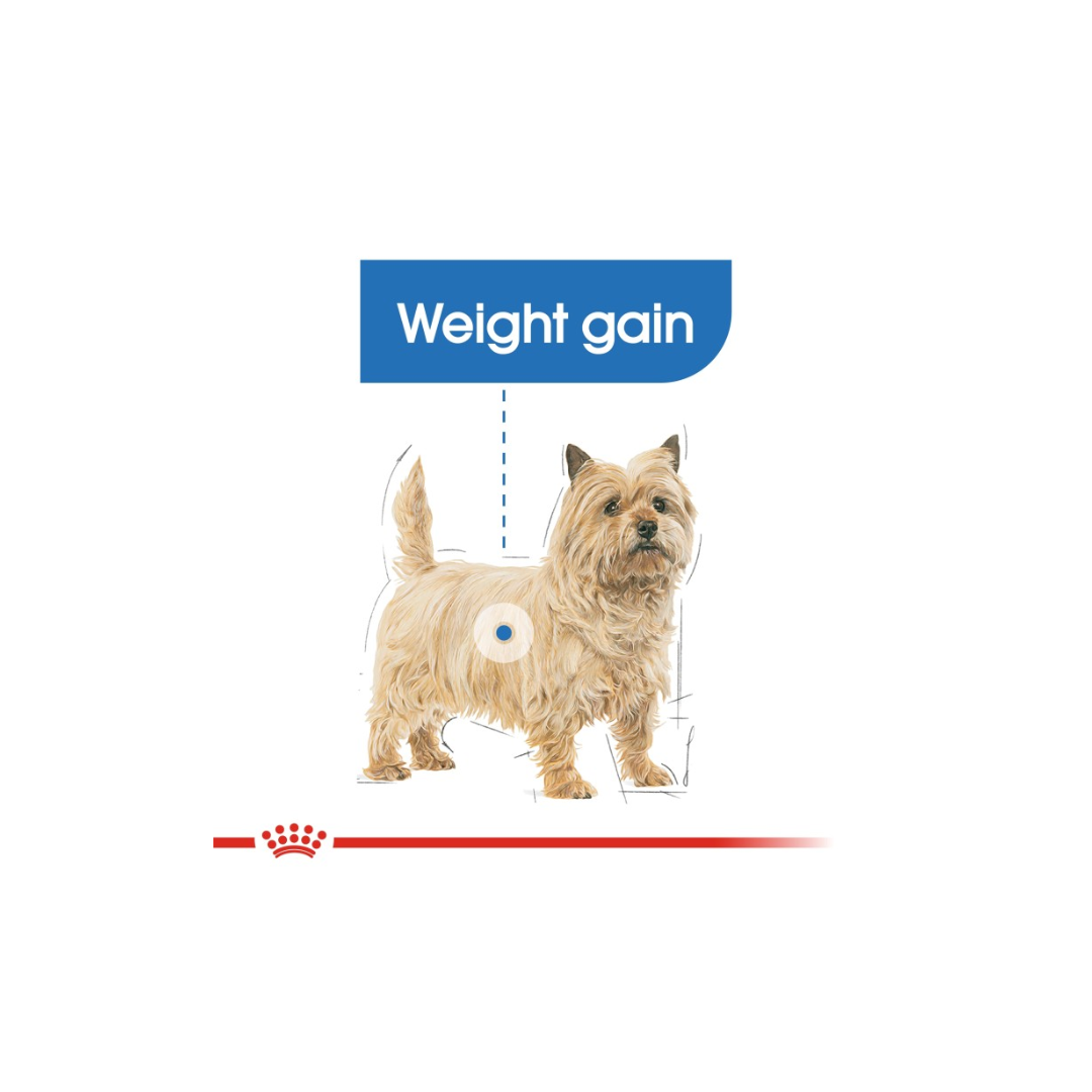 Royal Canine Care Nutrition Light Weight Care (WET FOOD)