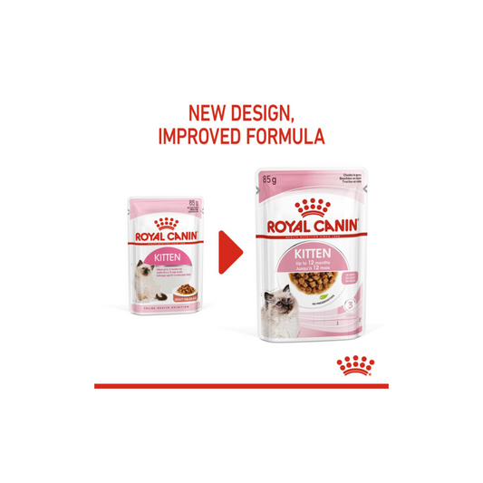 Royal Canin Feline Health Nutrition Kitten Gravy (WET FOOD)