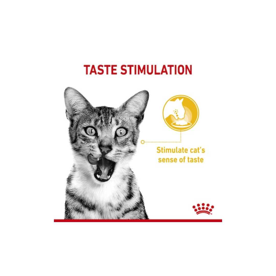 Royal Canin Feline Health Nutrition Sensory Taste Gravy WET FOOD