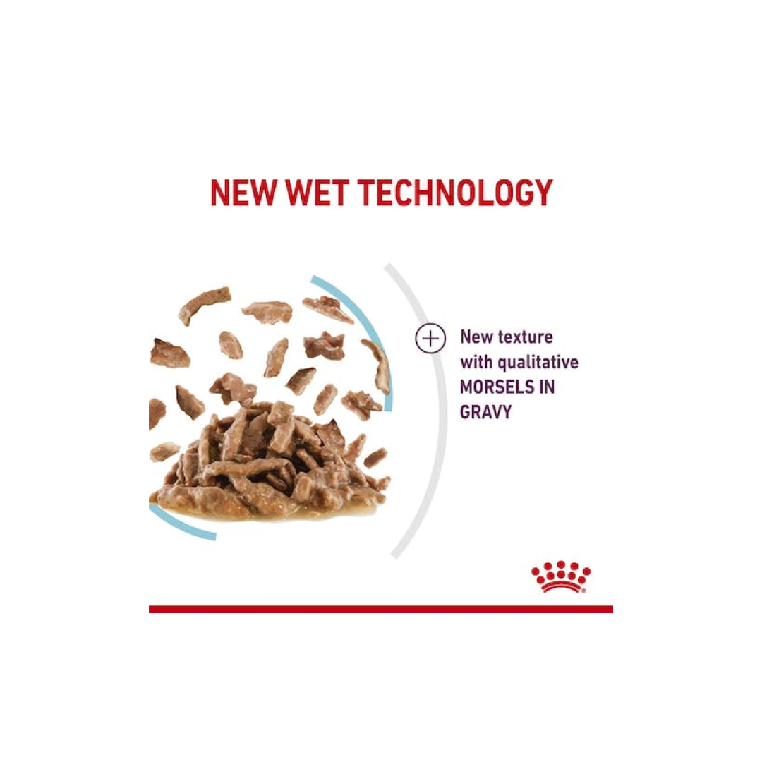 Royal Canin Feline Health Nutrition Sensory Feel Gravy (WET FOOD)