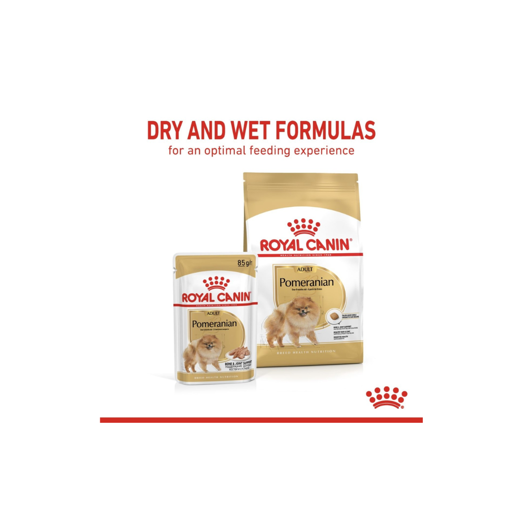 Royal Canin Breed Health Nutrition Pomeranian (WET FOOD)