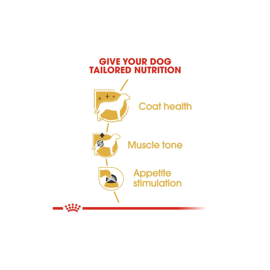Royal Canin Breed Health Nutrition Poodle Adult (WET FOOD)