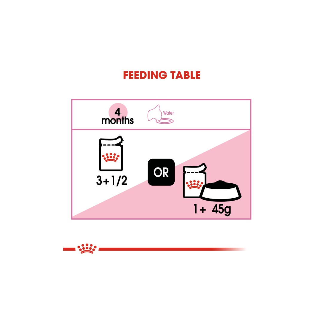 Royal Canin Feline Health Nutrition Kitten Jelly (WET FOOD )