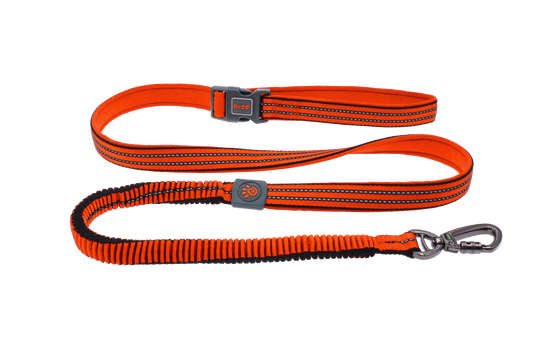 Doco Vario Easy Snap Bungee Leash - 6Ft (Dcv2072)Color: Orange, Sizes: L