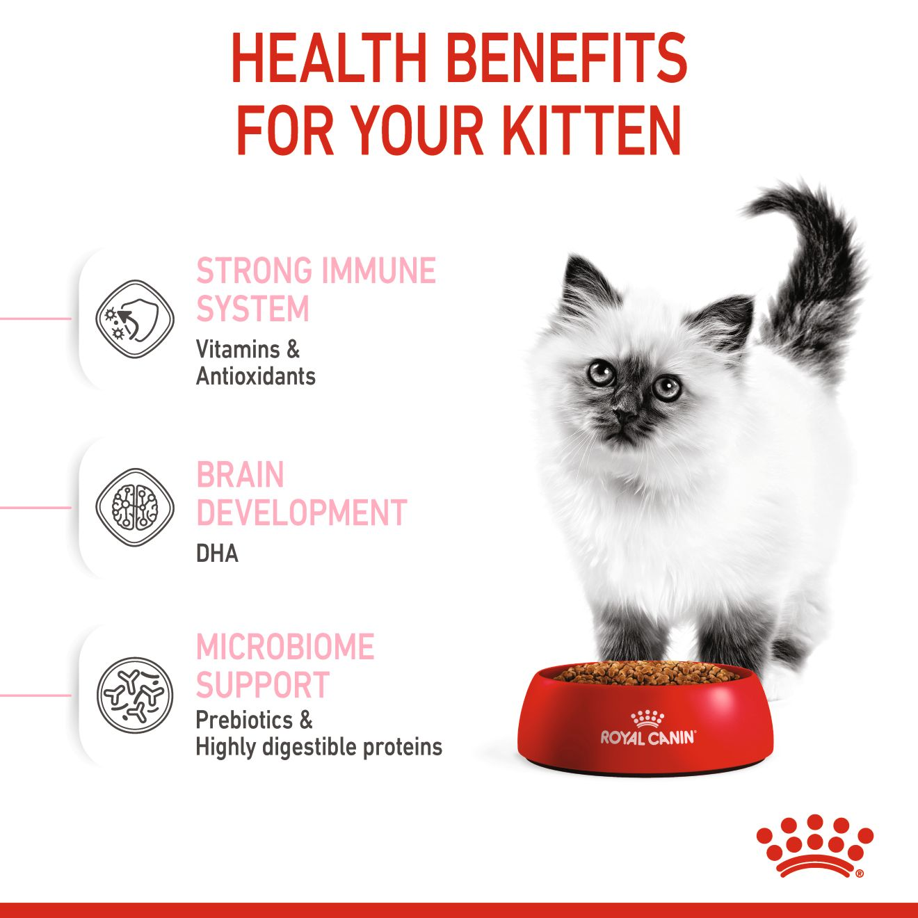 Royal Canin Feline Health Kitten Dry food 2kg