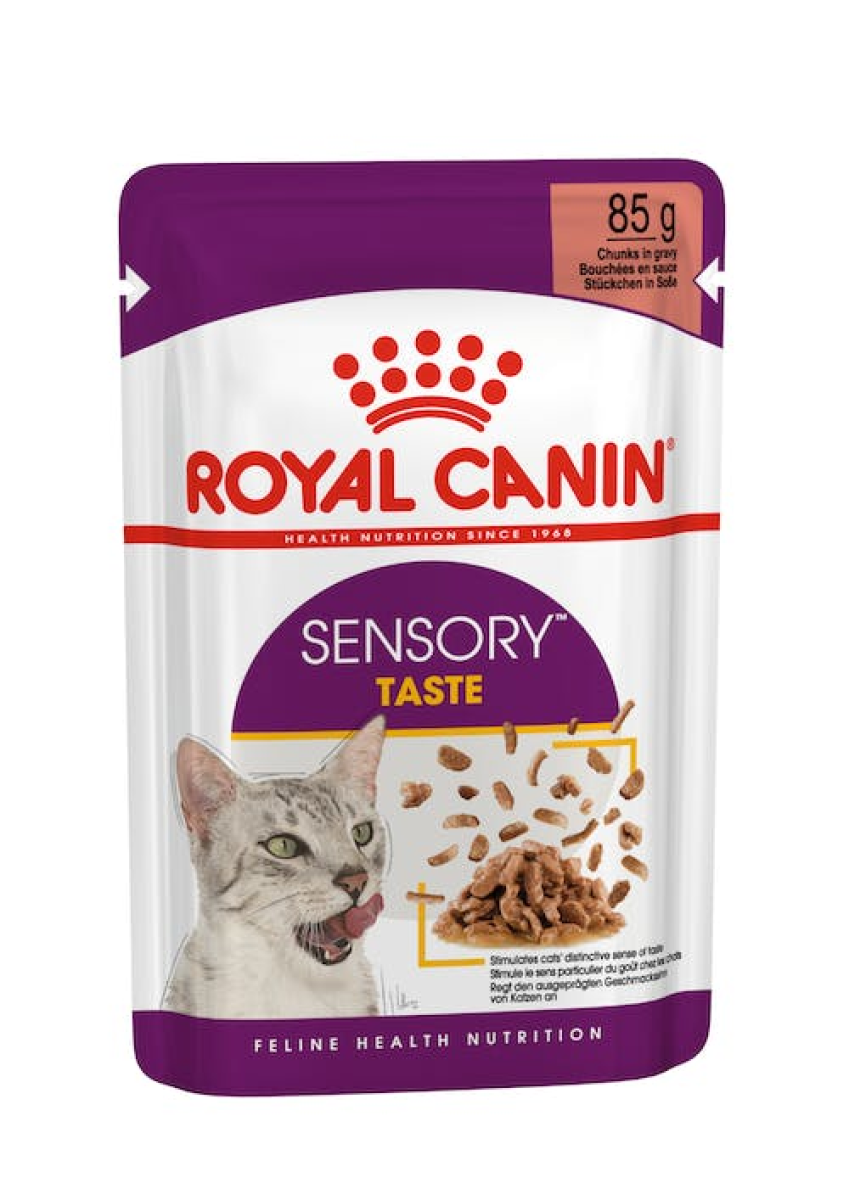 Royal Canin Feline Health Nutrition Sensory Taste Gravy WET FOOD