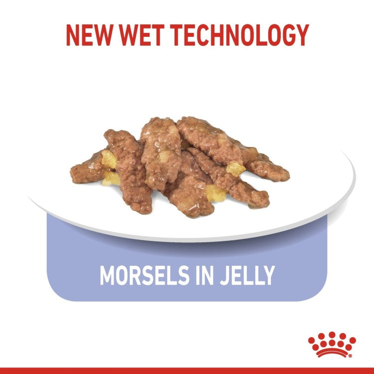 Feline Health Nutrition Indoor 7+ Jelly (Wet Food - Pouches)