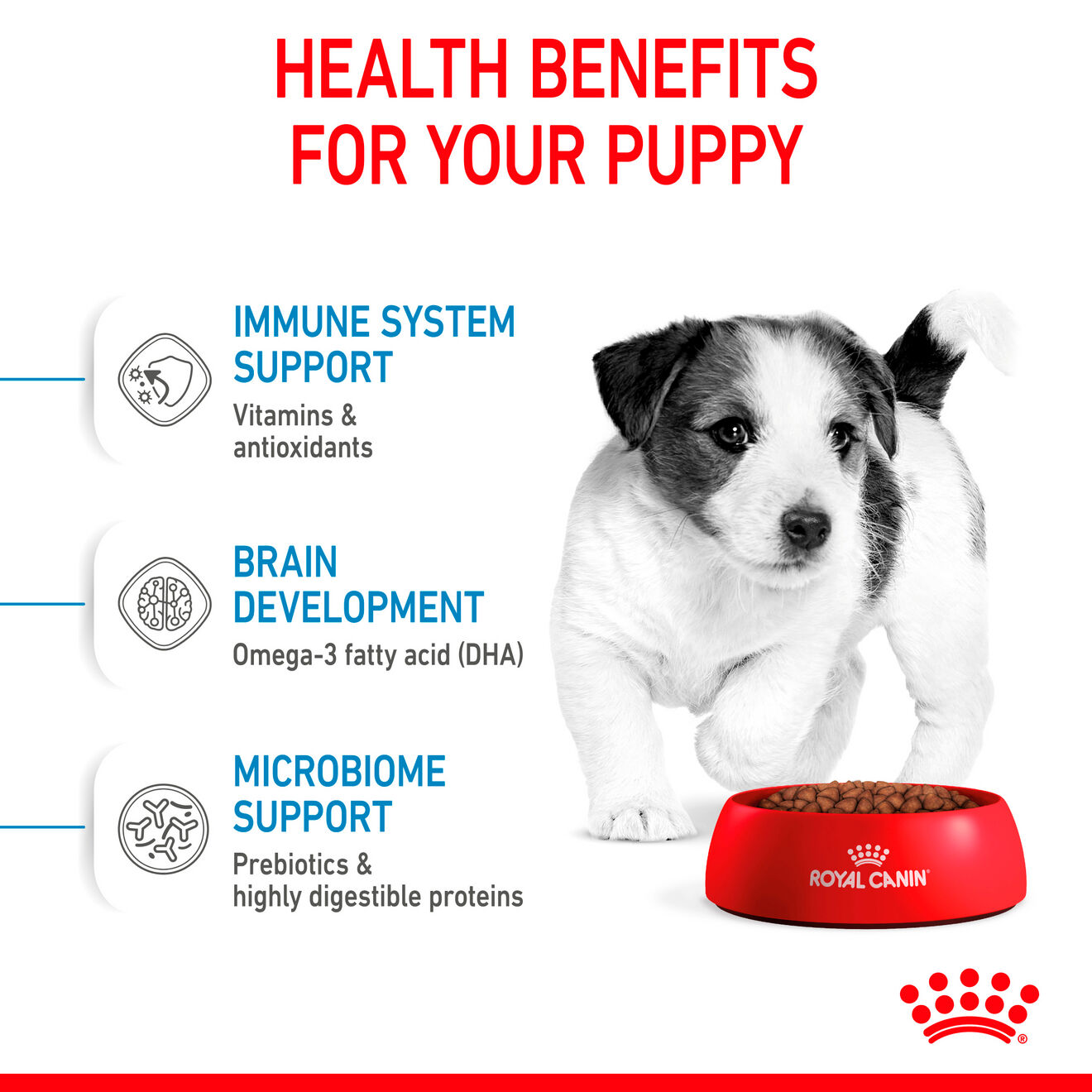 Royal Canin Size Health Mini Indoor Puppy Dry Food 1.5kg