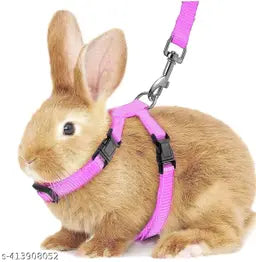 Petbroo Cat Leash+Harness Xs Pb85224