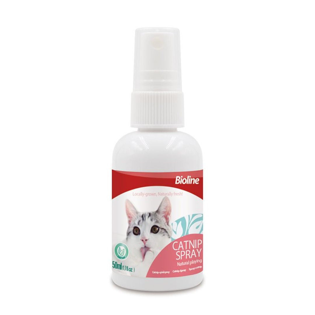 Bioline Catnip Spray – Compact Cat Enrichment Mist