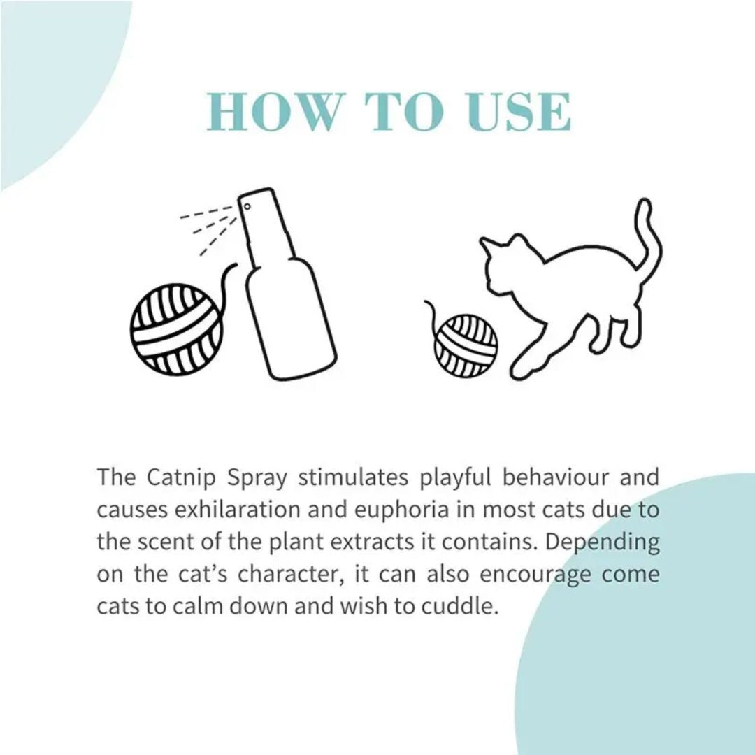 Bioline Catnip Spray – Compact Cat Enrichment Mist
