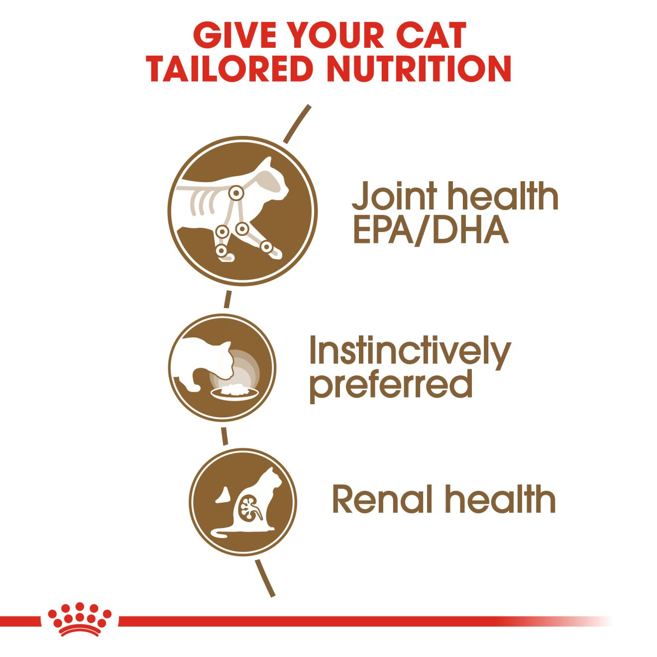 Feline Health Nutrition Ageing +12 Jelly (Wet Food - Pouches)