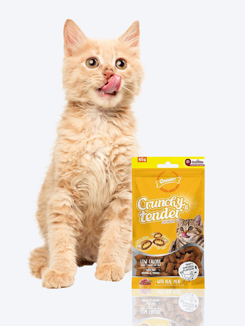 Gnawlers Crunchy & Tender Cat Treats – Chicken Flavor 65g