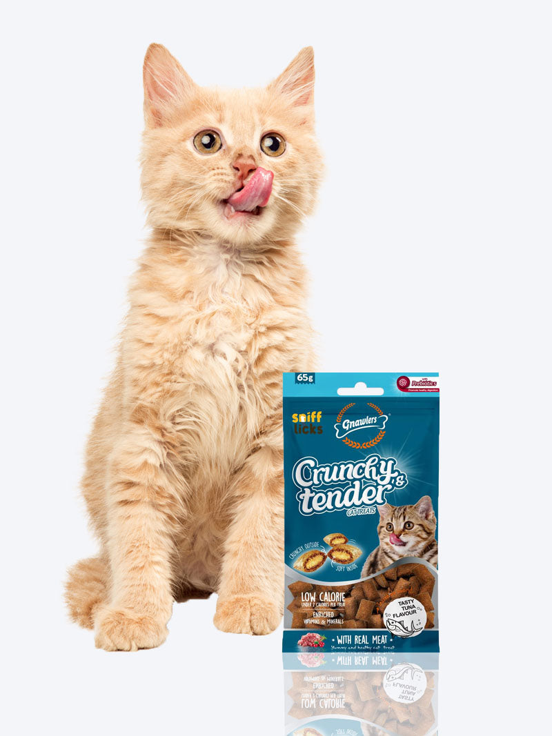 Gnawlers Crunchy & Tender Cat Treats – Tuna Flavor 65g