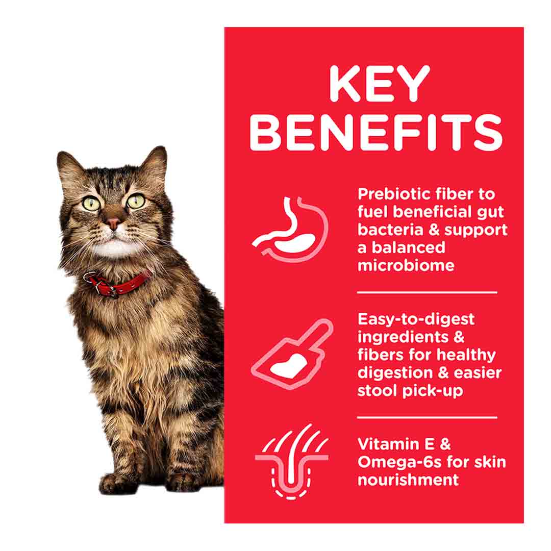 Hills Science Plan Sensitive Stomach & Skin Adult Cat Food With Chicken 1.5Kg