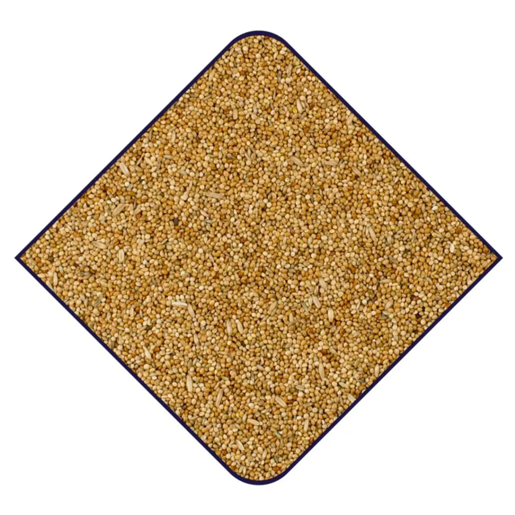Witte Molen Puur Large Parakeet & Cockatoo Food – 2Kg Gourmet Mix