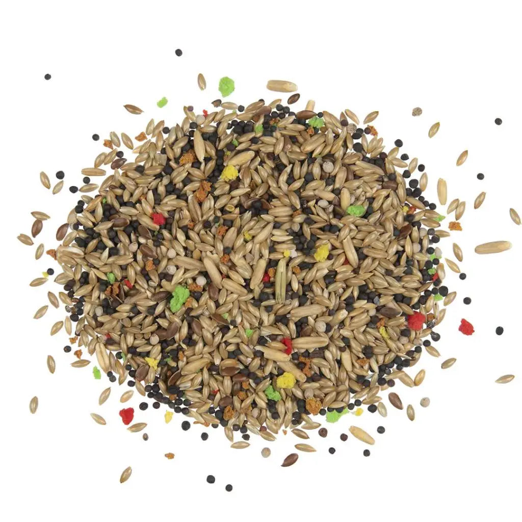 Witte Molen Country Canary Food – 600g Small Pack