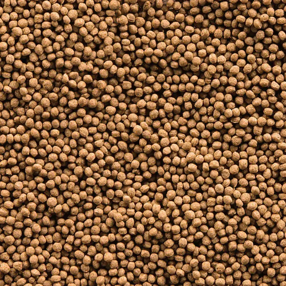 Sera Koi Royal Mini Nature Fish Food 3.8L – Floating Pond Pellets