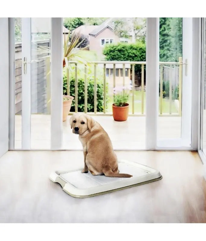 Duvo+ Pet Training Pads