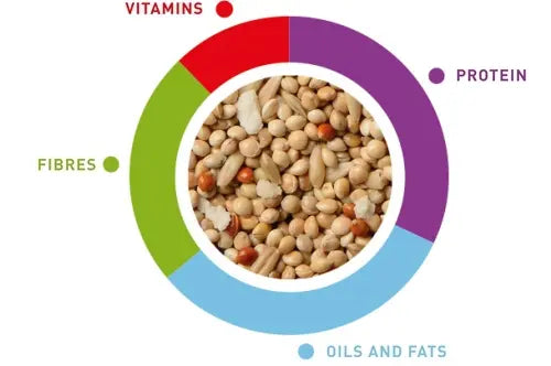 Padovan Sunmix Budgies (Cocorite) Food – 850g Complete Mix
