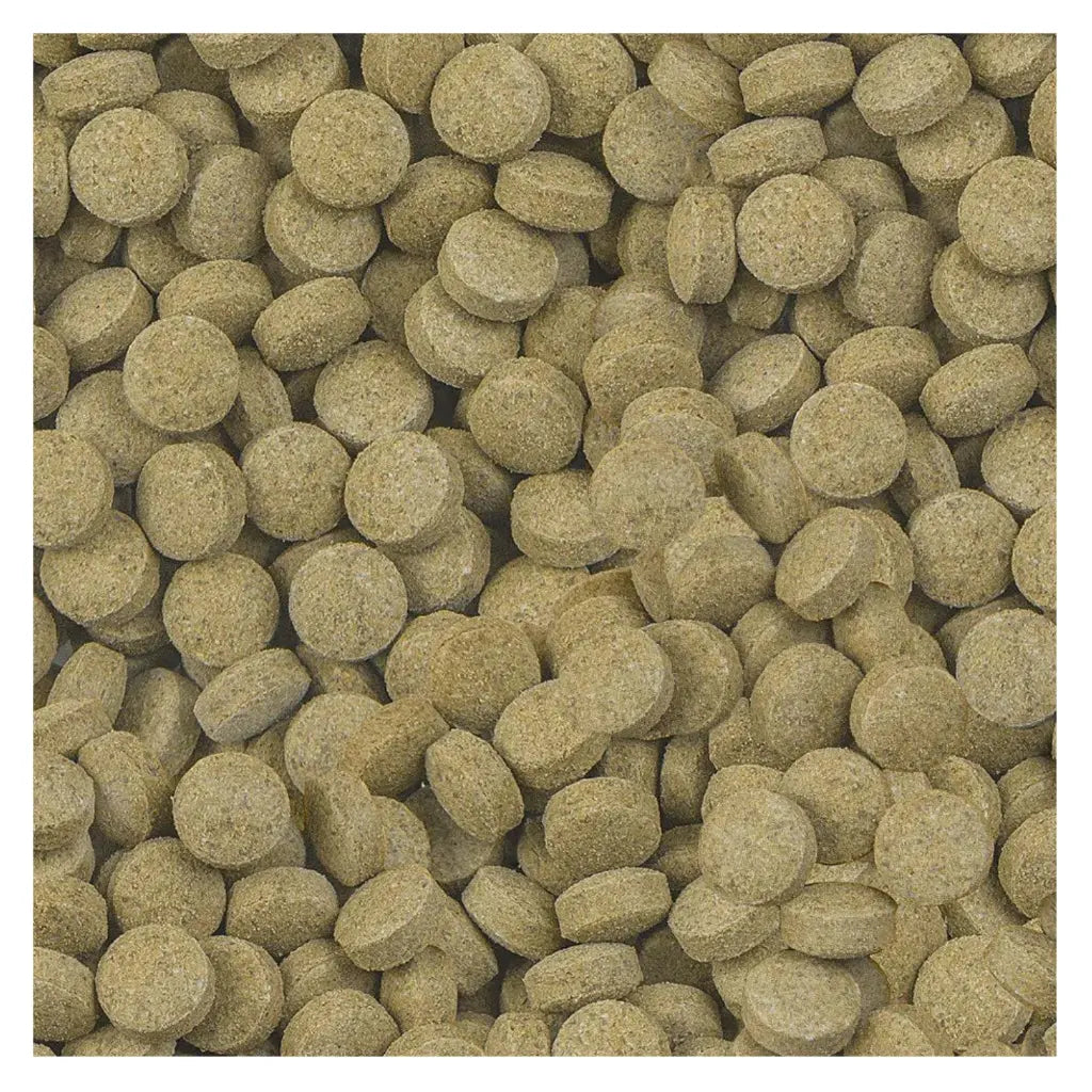 Sera Viformo Nature Tablets – 100ml/64g Bottom Feeder Fish Food