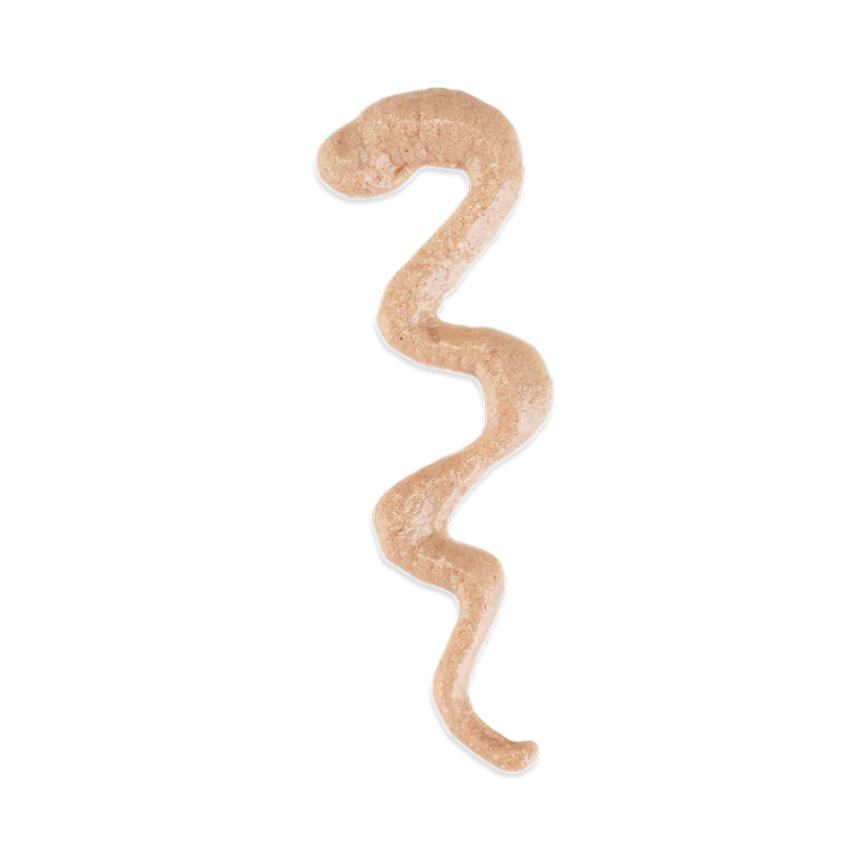 Schesir Cat Creamy Treat Stix Duck 6x15G