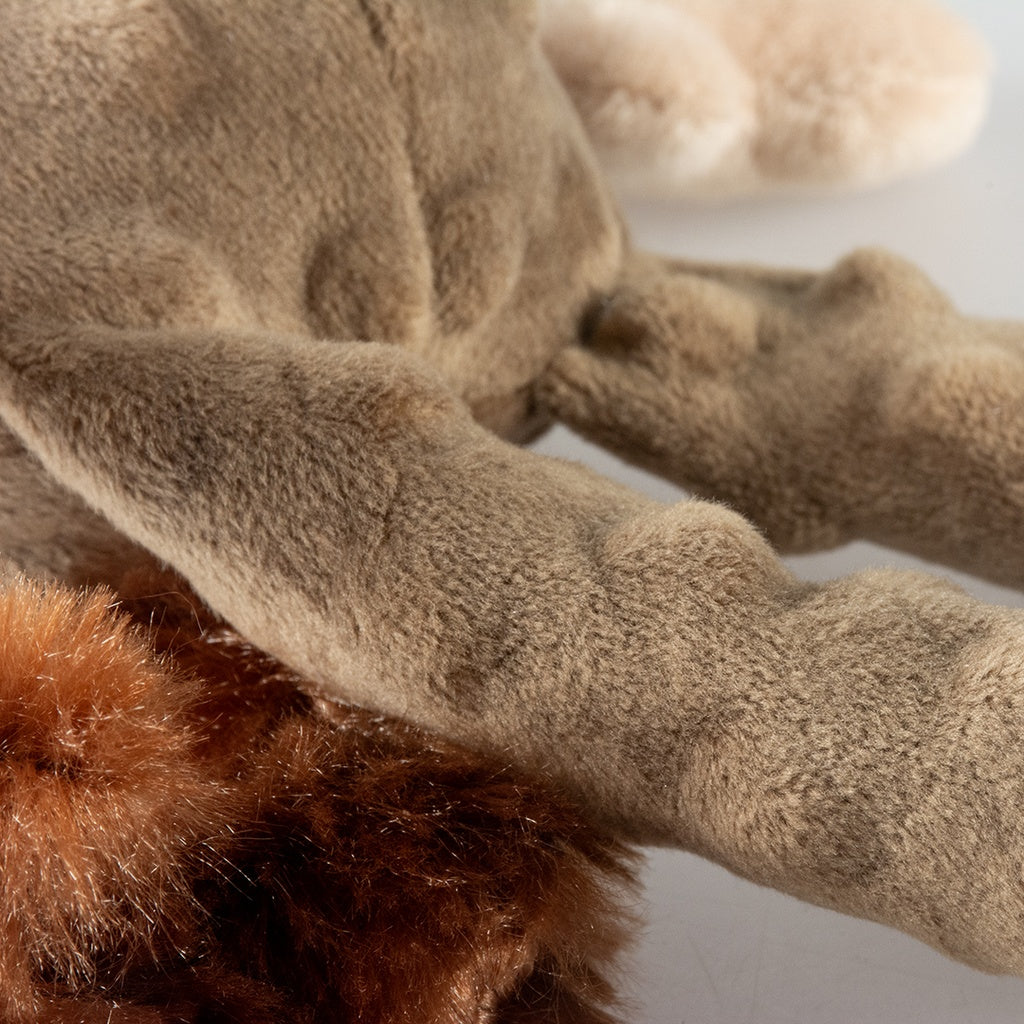 Duvo+ Plush Bear Crackle Dog Toy – 34x21x8cm, Brown