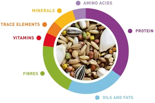 Padovan Wellness Australian Birds Food – 850g Premium Mix