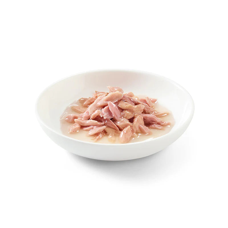 Schesir Broth Cat Can Chicken with Shrimps Wet food 70G