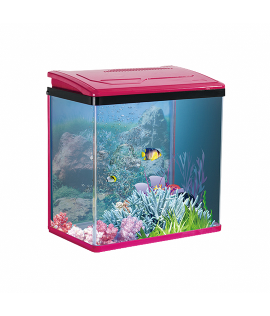 Karis PY-Series Aquarium – 240×160×280 mm – Pink Edition