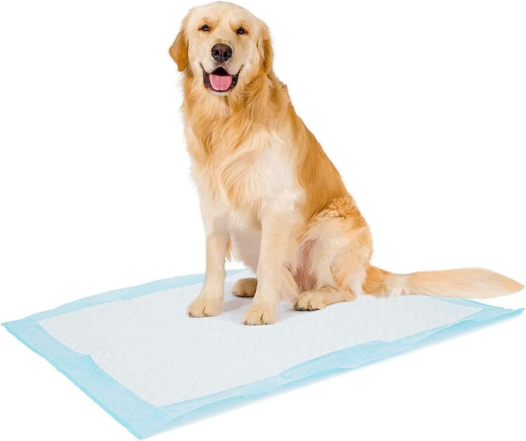 Duvo+ Pet Pads Premium XL – 60x60cm, 30pcs, Unscented