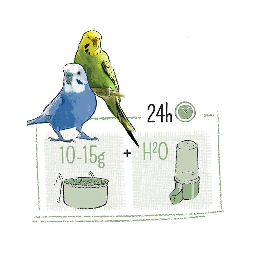 Witte Molen Puur Budgie Food – 750g Daily Nutrition