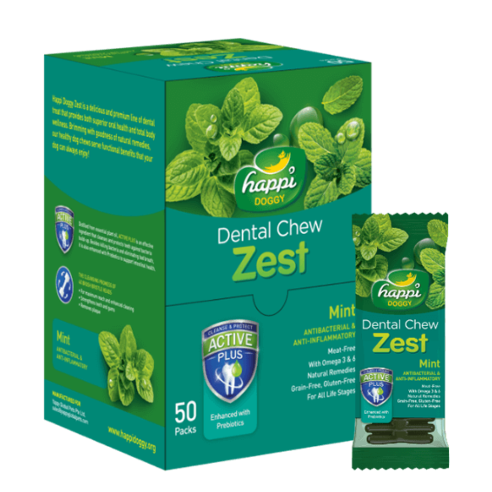 Happi Doggy Dental Chew Zest – Mint Flavor (4") Display Box of 50