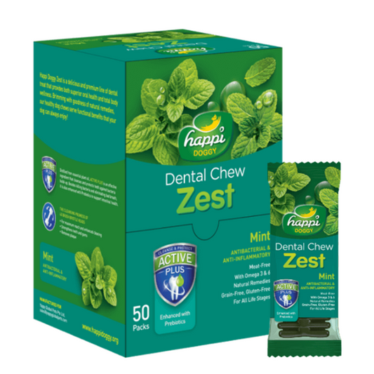 Happi Doggy Dental Chew Zest – Mint Flavor (4") Display Box of 50