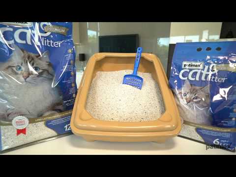 Patimax Ultra Clumping Cat Litter Lavender Scent – 12L Dust-Free