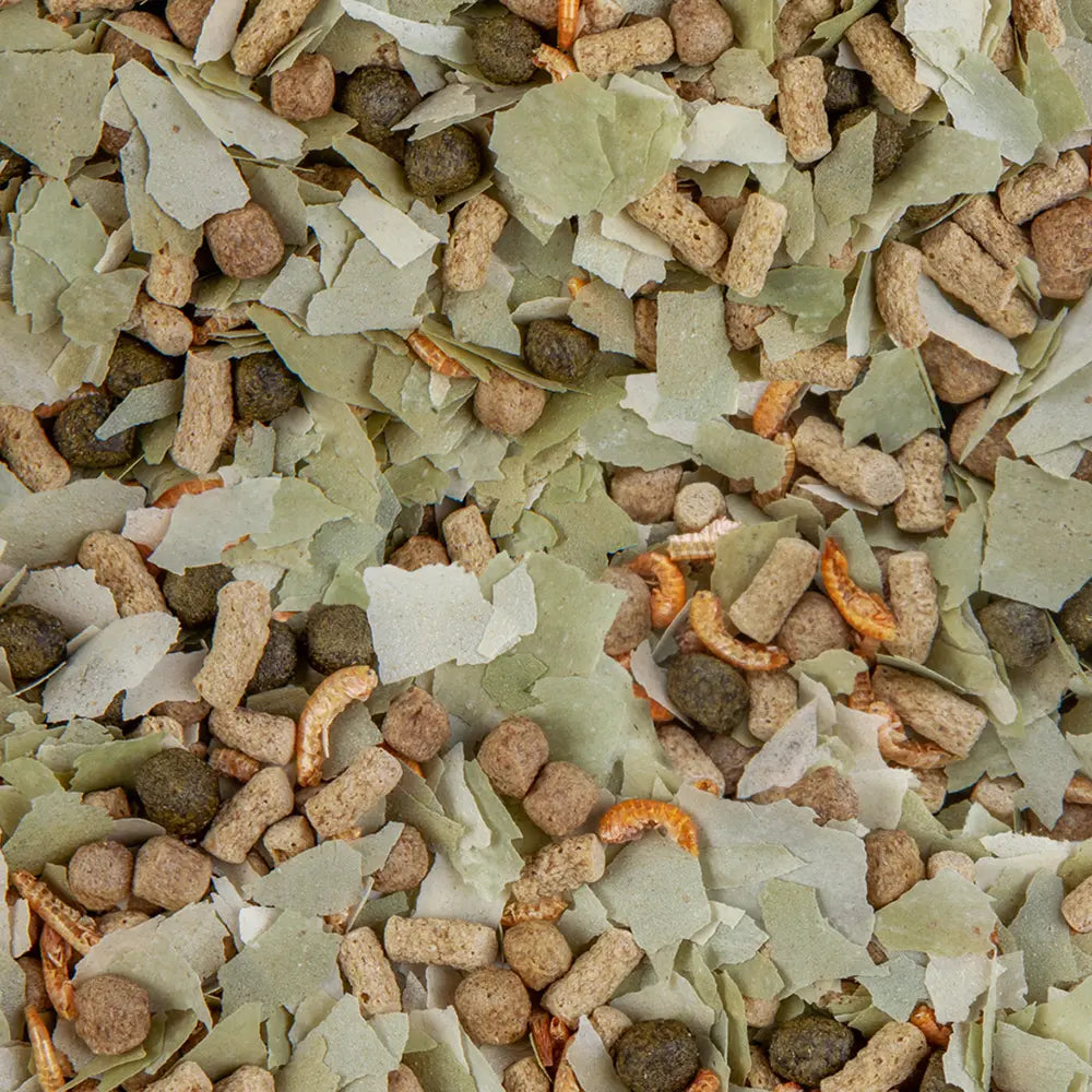 Sera Pond Mix Royal Nature 1L – Balanced Floating Pond Food