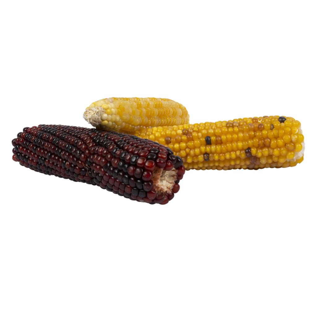 Duvo+ Mini Corn Cob Mix Small Animal Treats – Natural Snack