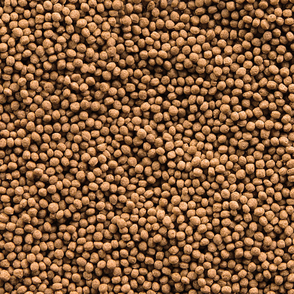 Sera Goldy Gran Nature 1000ML – Large Pack Goldfish Granules