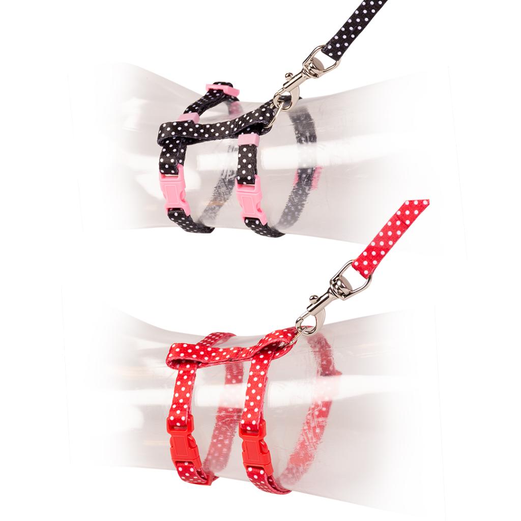 Duvo+ Kitten Harness & Leash Set – Black/Red, 15-25cm / 125cm