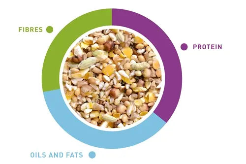 Padovan NaturalMix Tortore – 5kg Dove Seed Mix