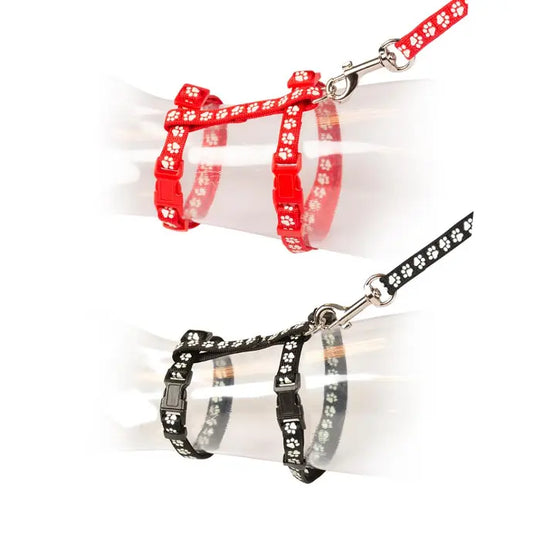 Duvo+ Big Cat Walking Set – Black/Red Paws, 30–50cm, 12mm x 125cm