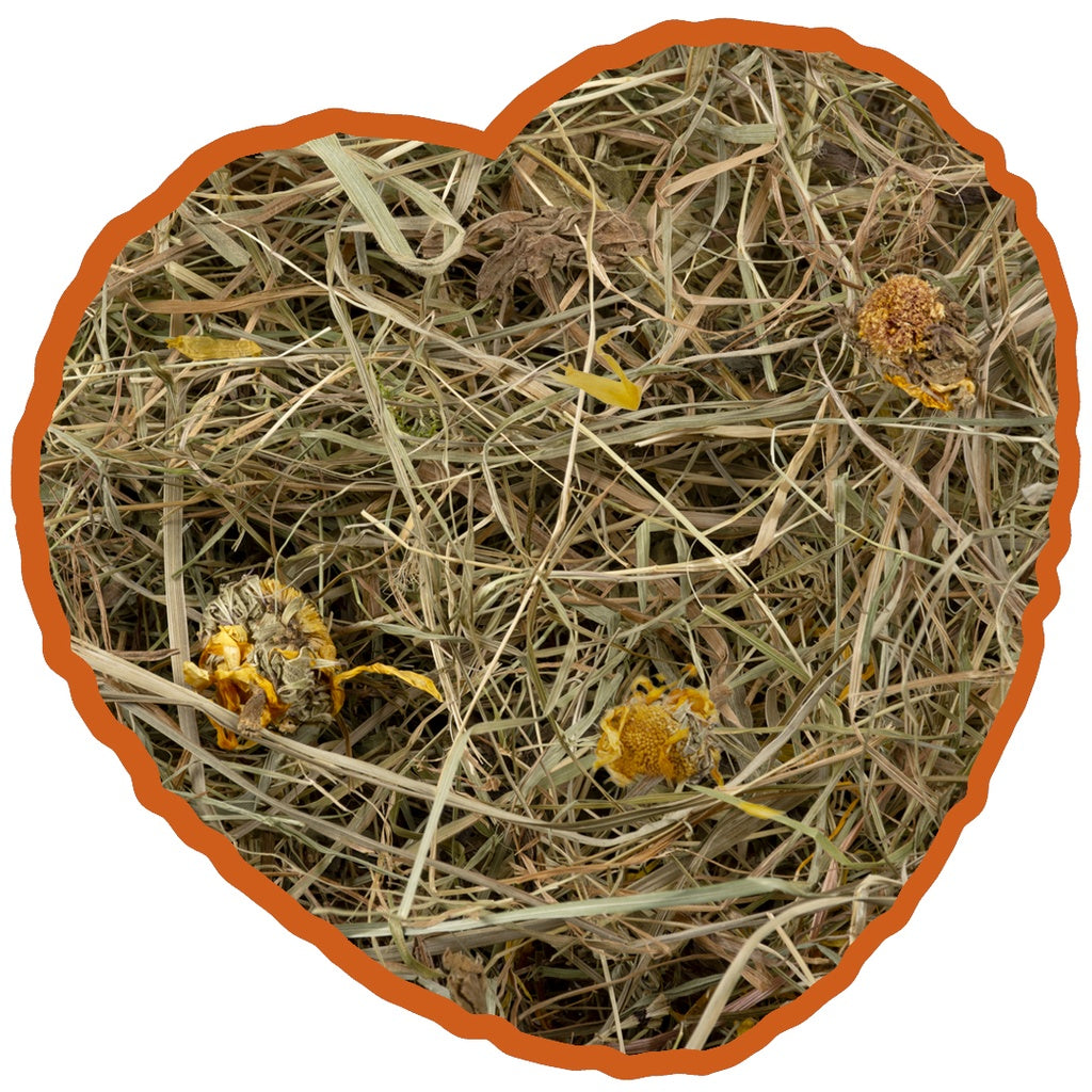 Duvo+ Herbal Hay with Dandelion – 500g Natural Small Pet Feed