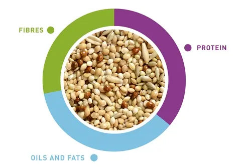 Padovan NaturalMix Cocorite 5KG