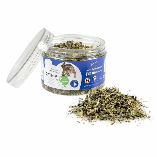 Duvo+ Catnip Herb – 30 g