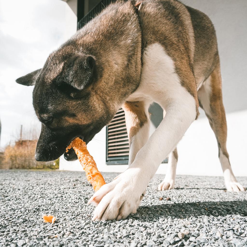 Duvo+ Meat! Chicken & Rawhide Sticks Large – 25cm (2pcs)
